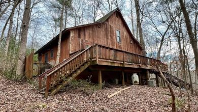 Photo of Cozy Cabin in the Woods of Castleton, Virginia