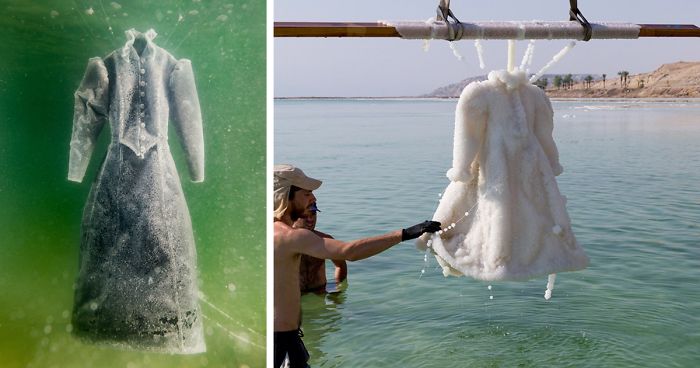 Photo of Artist Leaves Dress In The Dead Sea For 2 Months And It Turns Into Glittering Salt Crystal Masterpiece