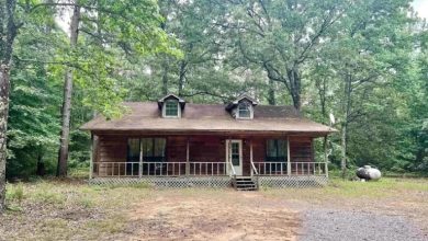 Photo of Secluded Cabin in Bradford, Arkansas