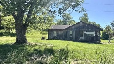 Photo of Nice House on 11 acres in Gallipolis, Ohio