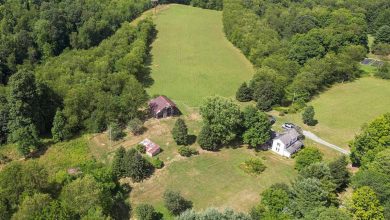 Photo of 23.5-Acre Farm with Home for Auction in French Creek, West Virginia