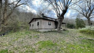 Photo of 35 Acres of Land with Building Potential for Sale in Wayne, West Virginia