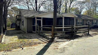 Photo of Cozy Cottage on 17.63 Acres in Millsboro, Delaware