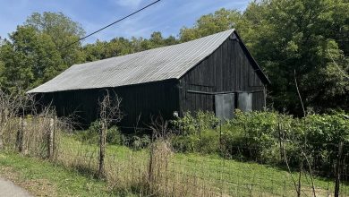 Photo of 21-Acre Country Retreat in Corinth, Kentucky