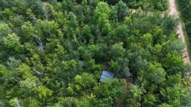 Photo of 15-Acre Recreational Retreat with Cabin for Sale in Hinckley, Minnesota