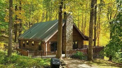 Photo of Modern Log Home on 200 Acres for Sale in Hot Springs, North Carolina