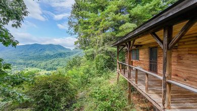 Photo of Charming Cabin on 7.08 Acres for Sale in Robbinsville, North Carolina