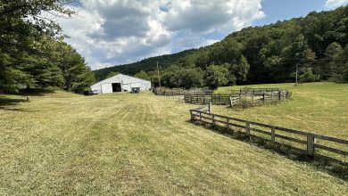 Photo of 60-Acre Farm with Barns, Pastures, and Hunting Land in West Liberty, Kentucky