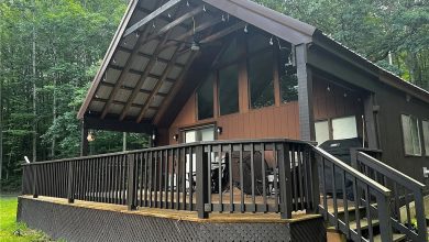 Photo of Cozy and Beautiful Cabin on 21.90 Acres in Clarksville, New York