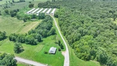 Photo of Spacious Farm with Timber, Ponds, and Wildlife in Hartselle, Alabama