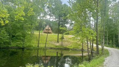 Photo of Charming Cabin in McKee, Kentucky on 5.32 Acres