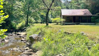 Photo of Scenic Cabin for Sale in Tallmansville, West Virginia