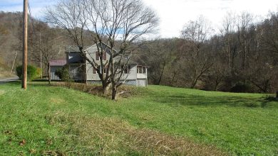 Photo of Charming 1940 Home for Sale in Burnsville, West Virginia