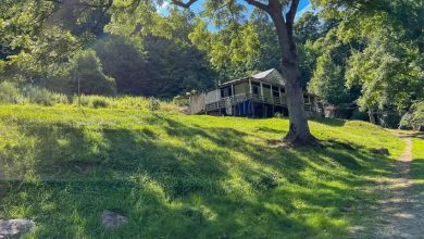 Photo of Charming Homestead on 42 Acres for Sale in Sutton, West Virginia