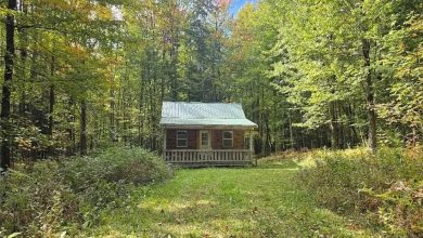 Photo of Cozy Cabin Retreat for Sale on 7 Acres in Camden, New York