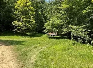 Photo of Over 60 Acres of Untouched Land with Cabin – $75,000