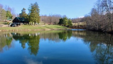 Photo of 43.73-Acre Property for Auction in Dresden, Ohio