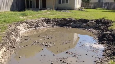 Photo of My Neighbor Buried My Pond While I Was Away — I Showed Him Why You Don’t Mess with an Older Woman