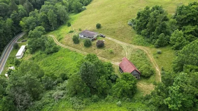 Photo of Auction Opportunity