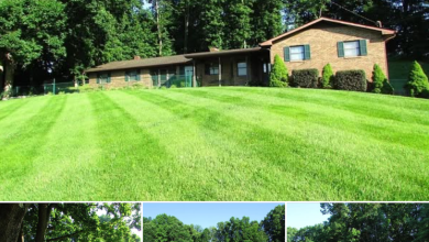 Photo of Spacious 4-Bedroom Brick Ranch on Private 2.3-Acre Lot – Auction July 19th