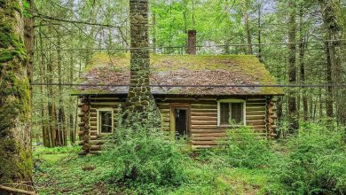 Photo of Log Cabin Retreat for Sale in Stroudsburg, Pennsylvania