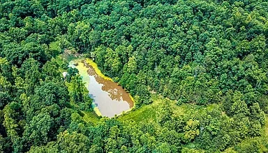Photo of These two vacant parcels encompass a total of 53.88 acres