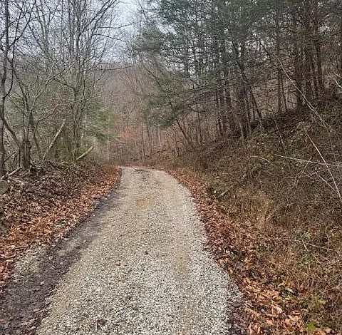 126 Acres of Untouched Appalachian Wilderness