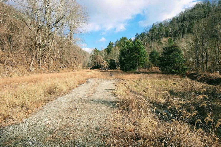 Land with 101.18 Acres in Clintwood, Virginia