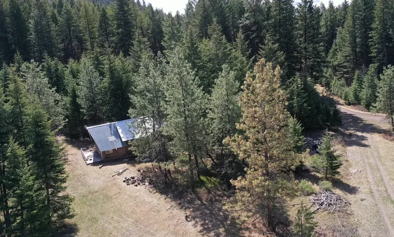Secluded Cabin Retreat on 5 Acres with Mountain Views